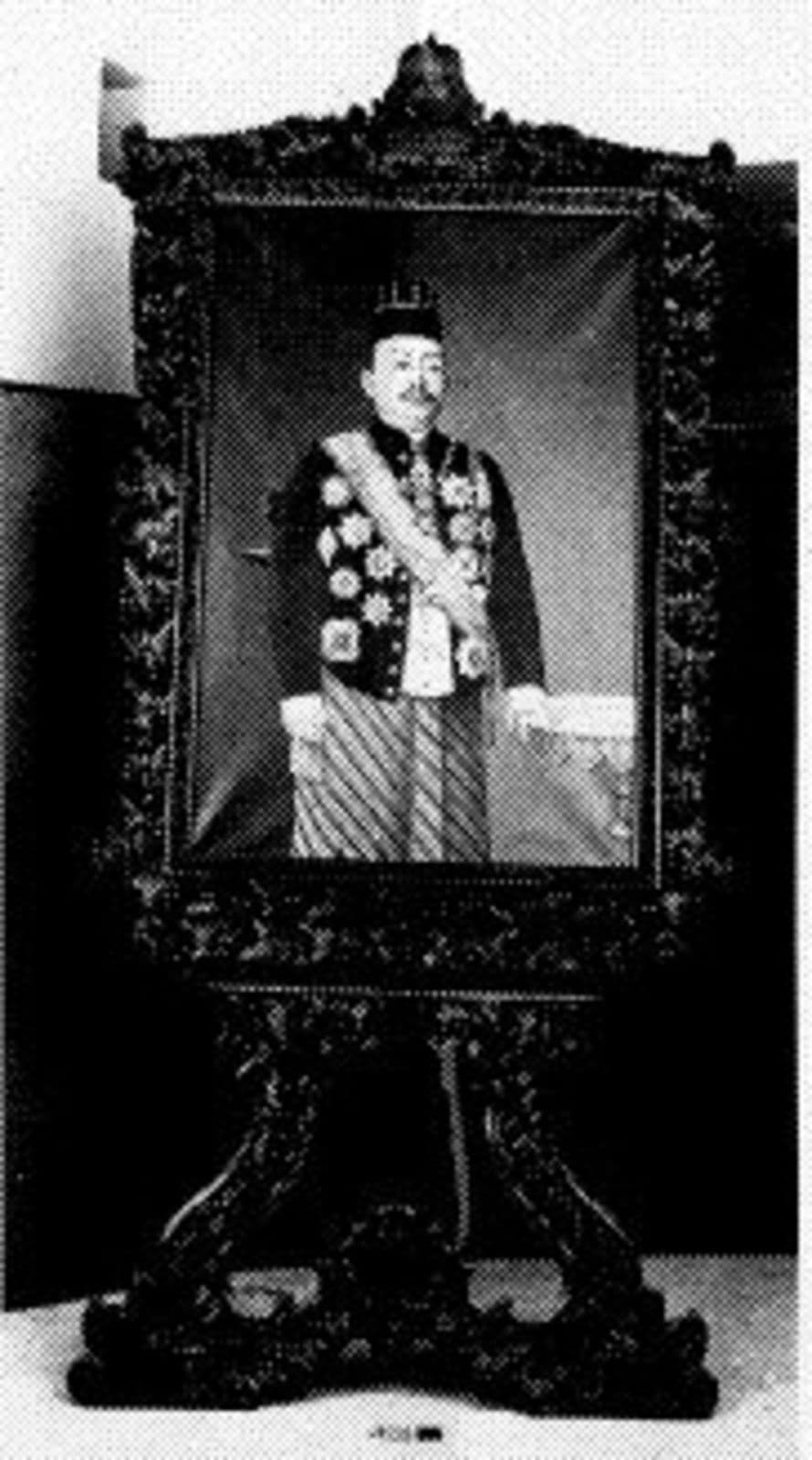 Rijk besneden ezel #1